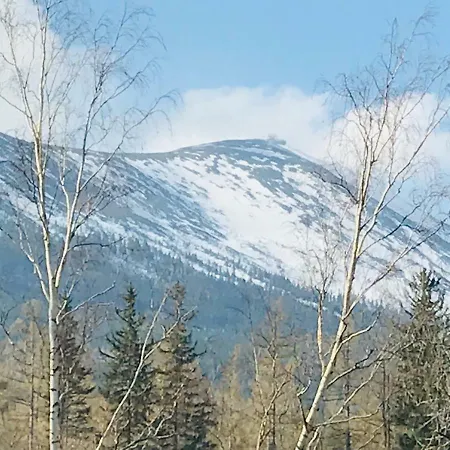 公寓 Sarnia Z Widokiem Na Sniezke *