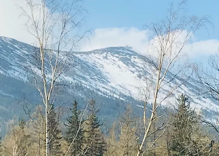 Апартаменты Sarnia Z Widokiem Na Sniezke *